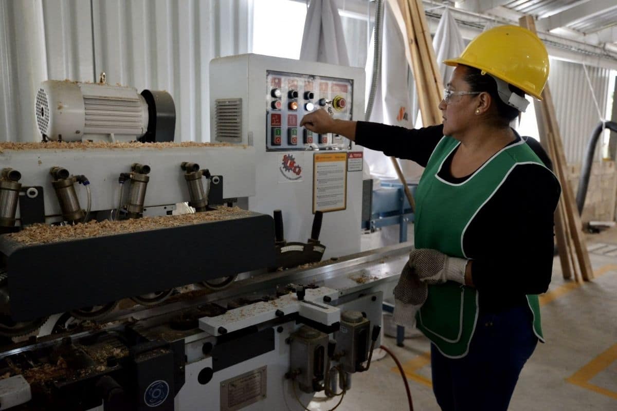 actividad económica