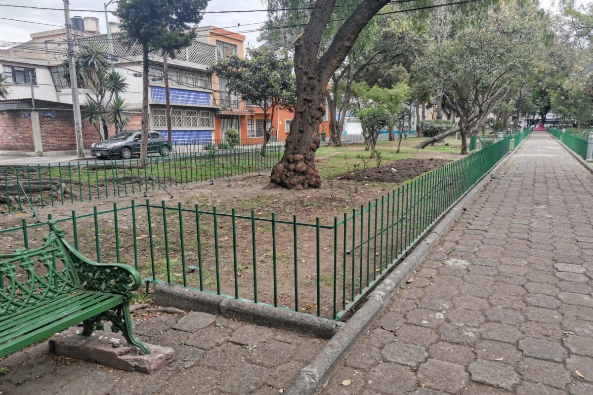 coyoacán parque