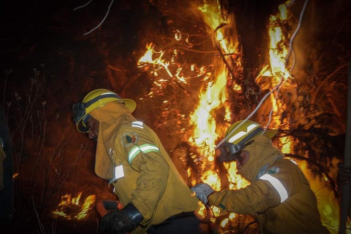 incendios forestales