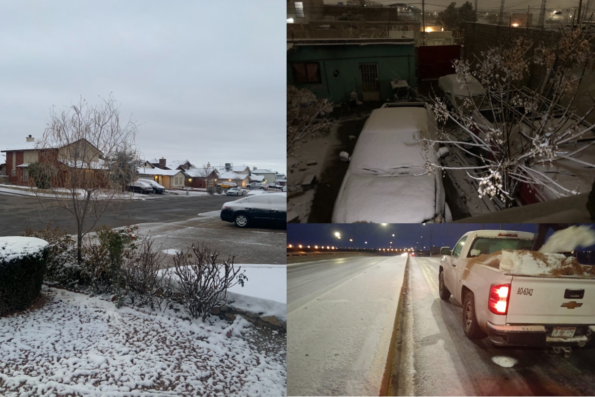 Usuarios en redes compartieron postales tras la caída de nieve.