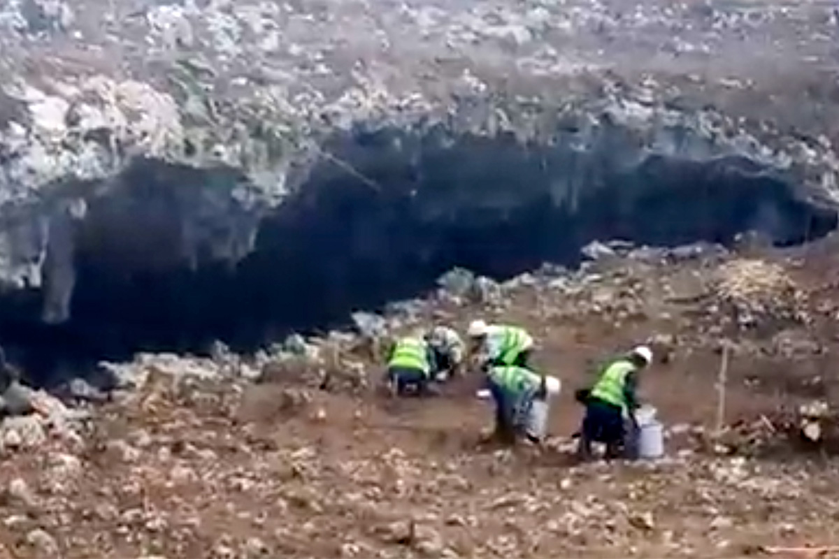 VIDEO. AC y ONG’s documentan hallazgo de cenotes en construcción de Tren Maya 