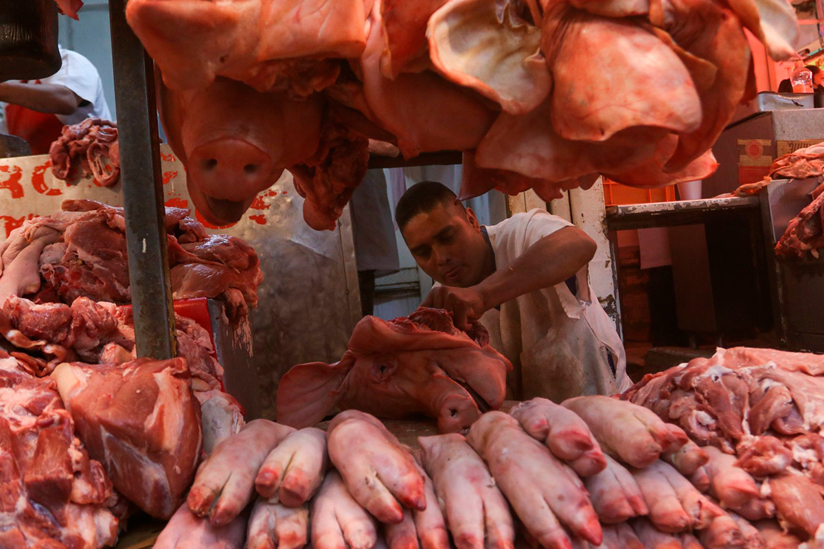 Aumenta consumo y producción de carne de cerdo en primer bimestre