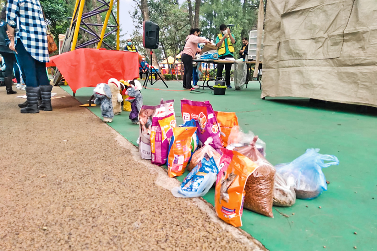 Realizan Croquetón para cuidar a mininos callejeros en Tlalpan