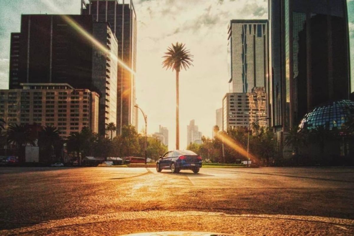 Foto:Instagram/@EfrenMauleon|Retiran palma de la glorieta en Reforma; encuestan para conocer al árbol sustituto