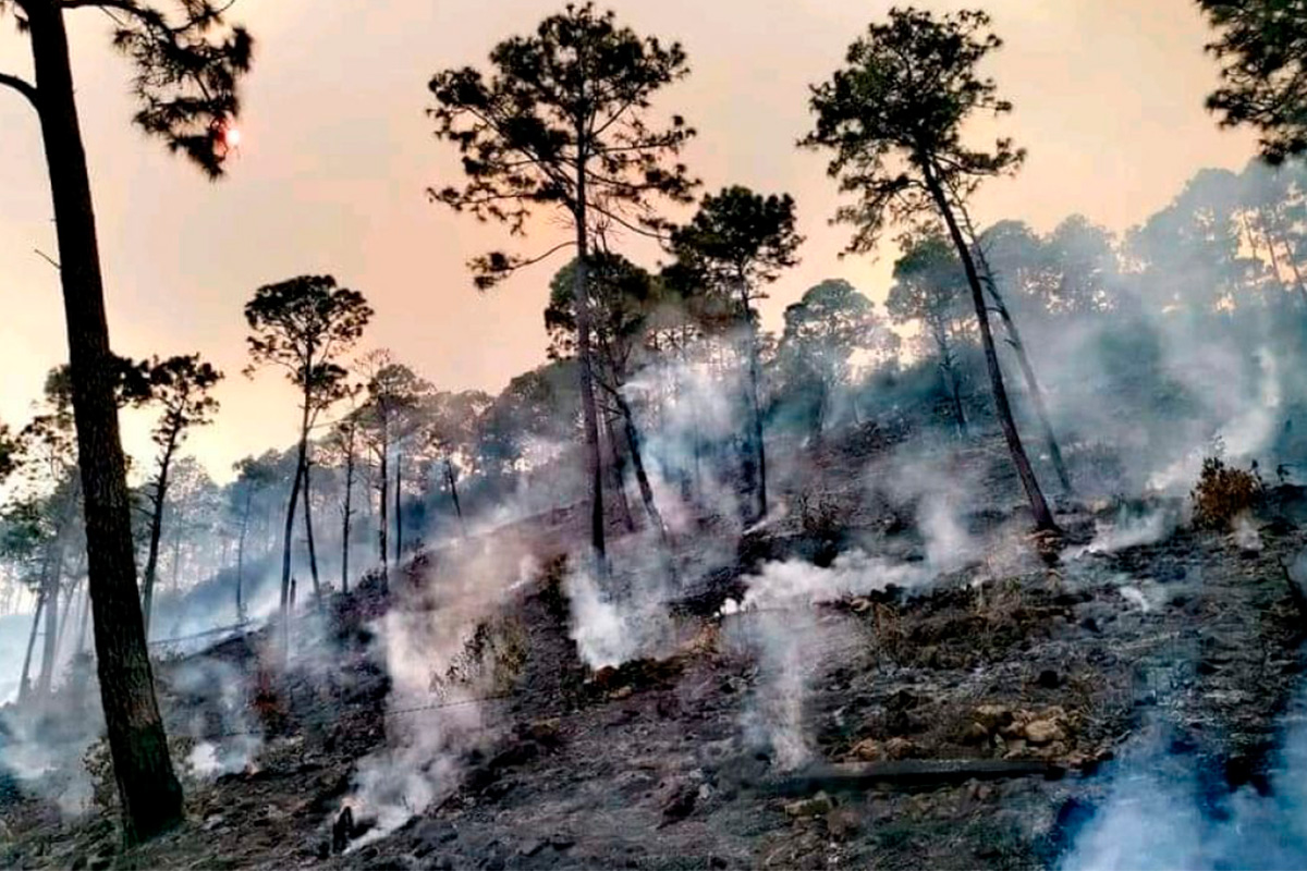 Arrasa fuego más de 3 mil hectáreas en Sonora y Michoacán 