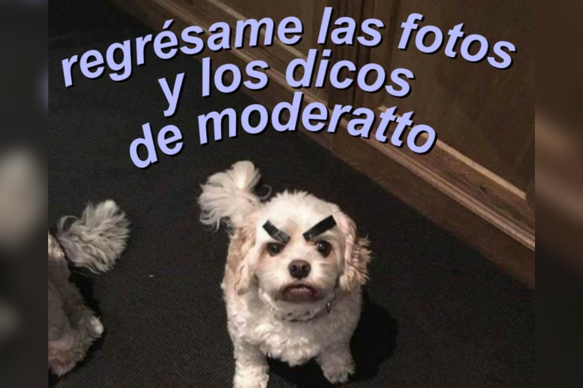 Moderatto