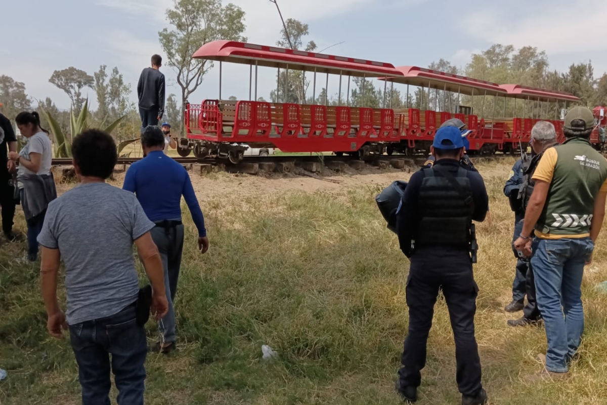 bosque de aragón tren