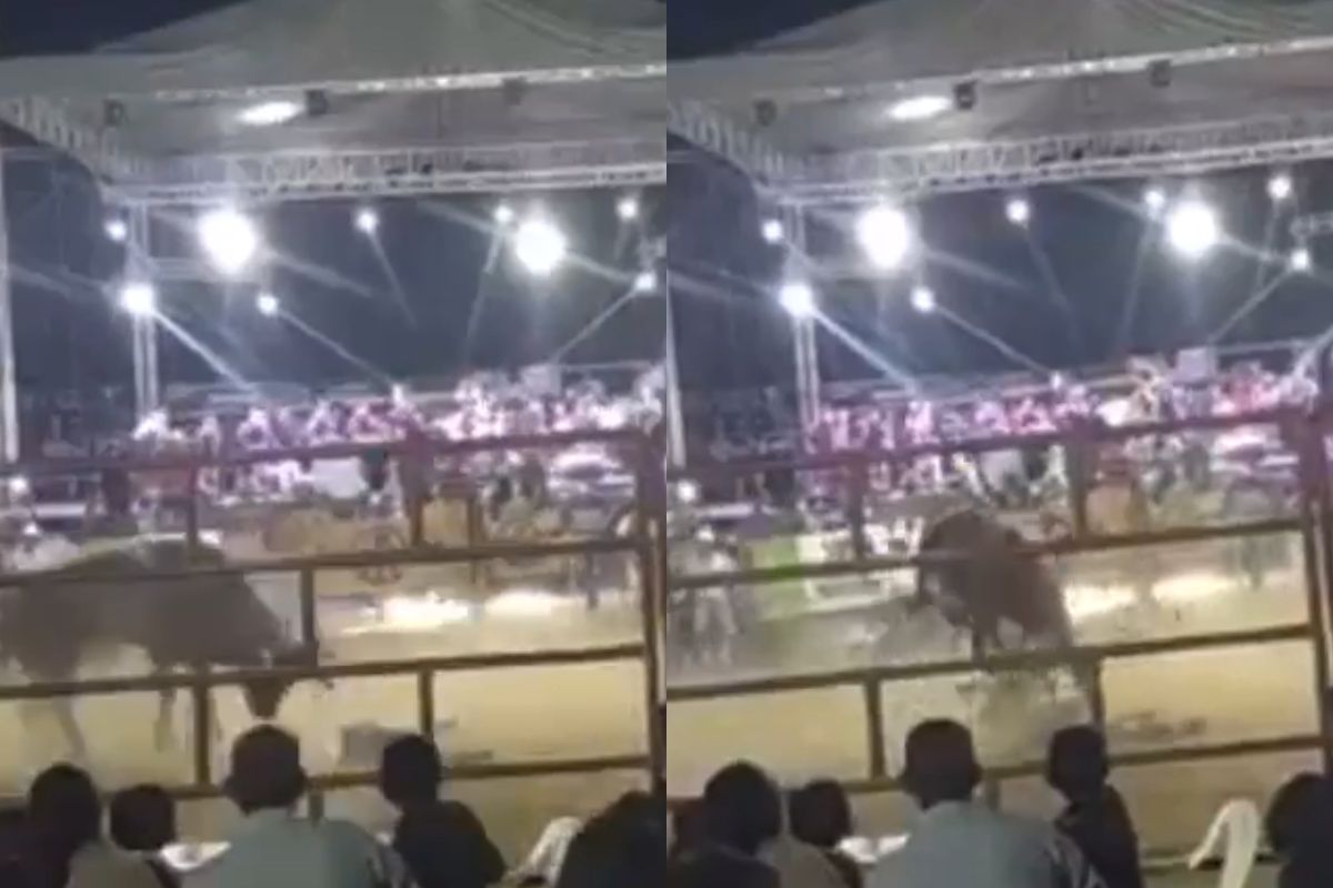 Foto:Captura de pantalla: Imágenes fuertes: Muere jinete aplastado por un toro durante jaripeo en Chilpancingo