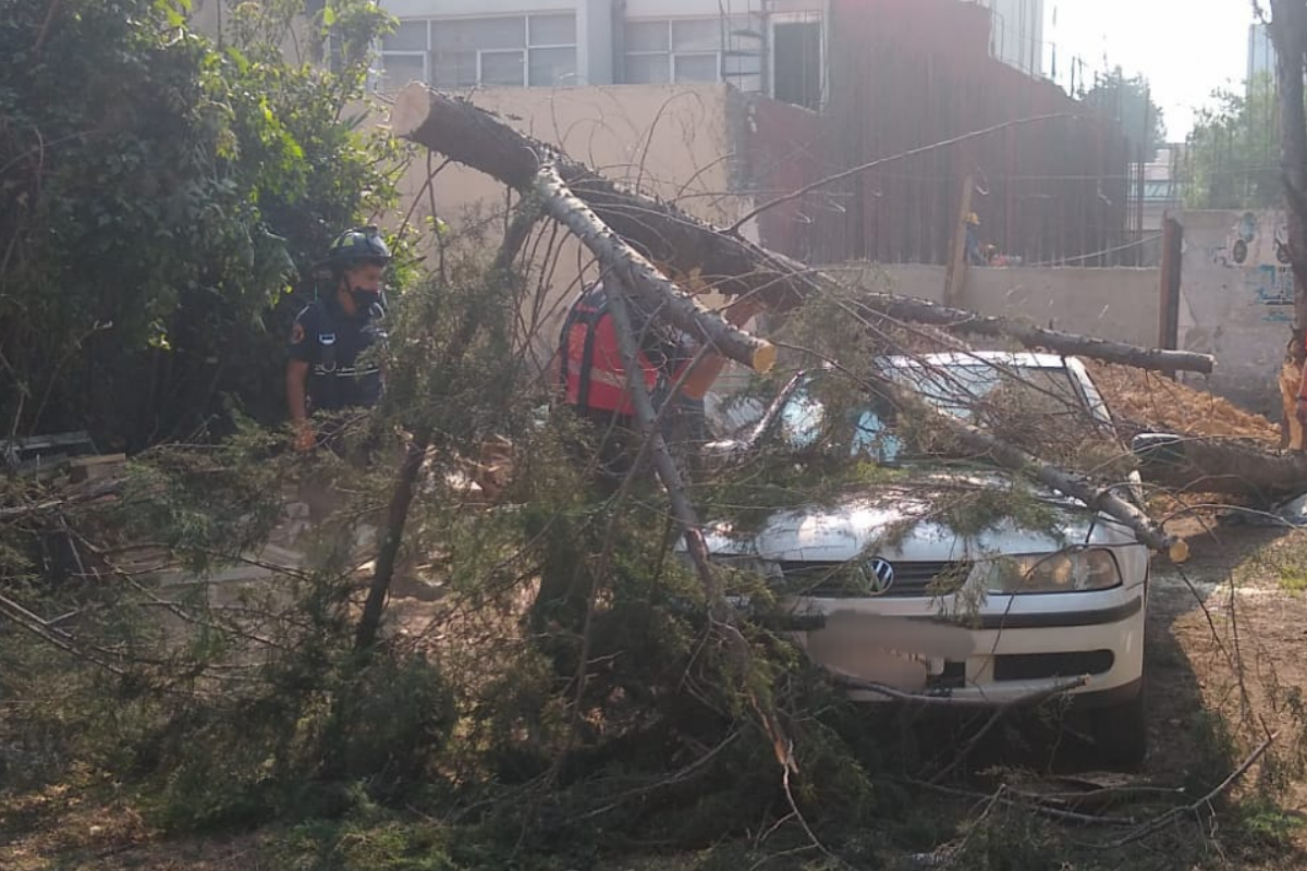 Foto: Twitter/ @SGIRPC_CDMX | Fuertes vientos dejan más de 70 afectaciones en CDMX