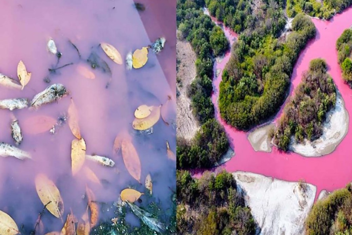 Se tiñe de rosa laguna de Oaxaca