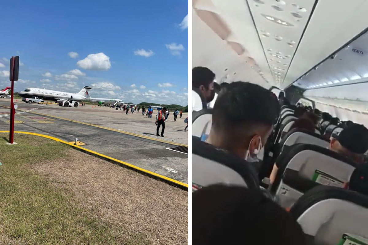 Pasajeros de un avión vivieron momentos de angustia por un ave.