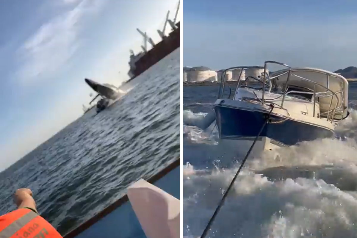 La ballena realizaba un salto fuera del agua cuando terminó impactando la lancha.