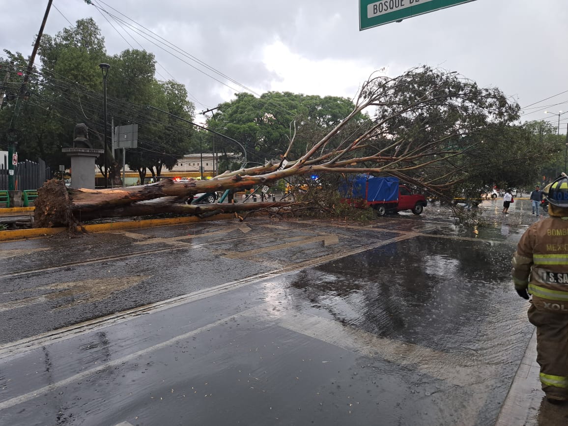 caída de granizada CDMX