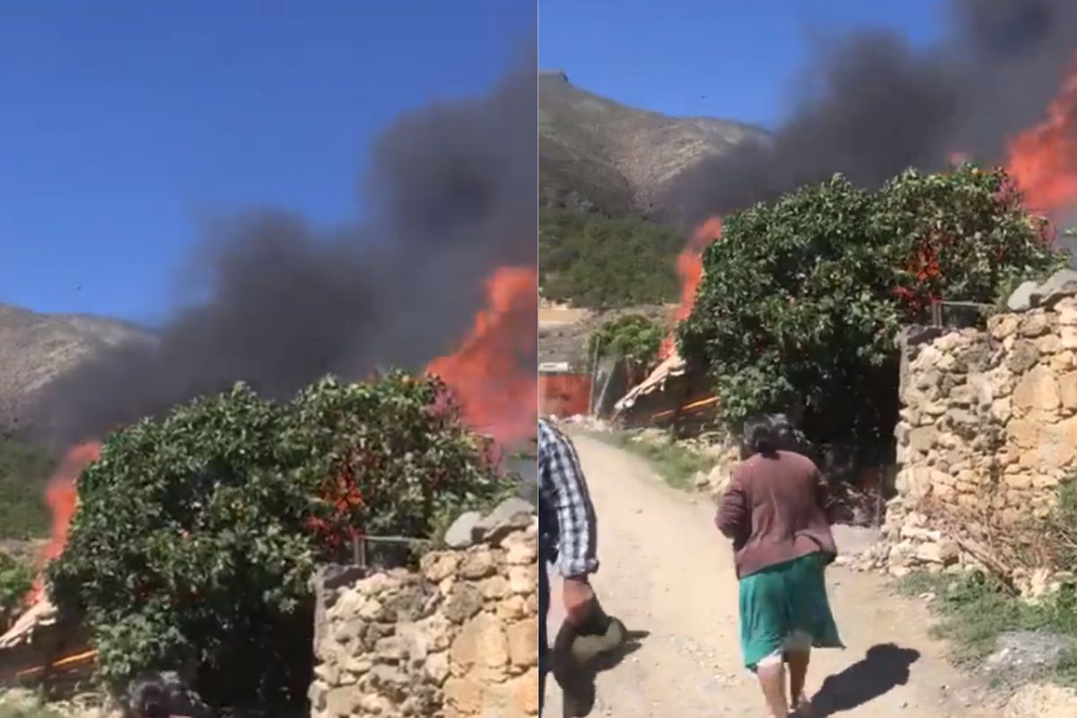 Foto:Captura de pantalla|¡Tragedia! Mueren dos niños en incendio de tejabán en Nuevo León