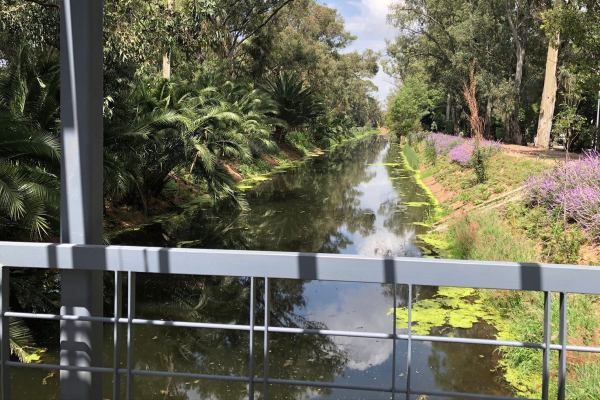 Foto:Twitter/@Jualicra|Declara Gobierno capitalino "Bosque Urbano" al "Parque Canal Nacional"