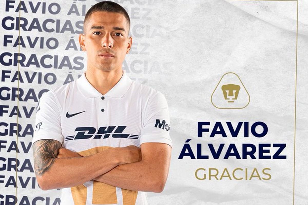 FAVIO ALVAREZ