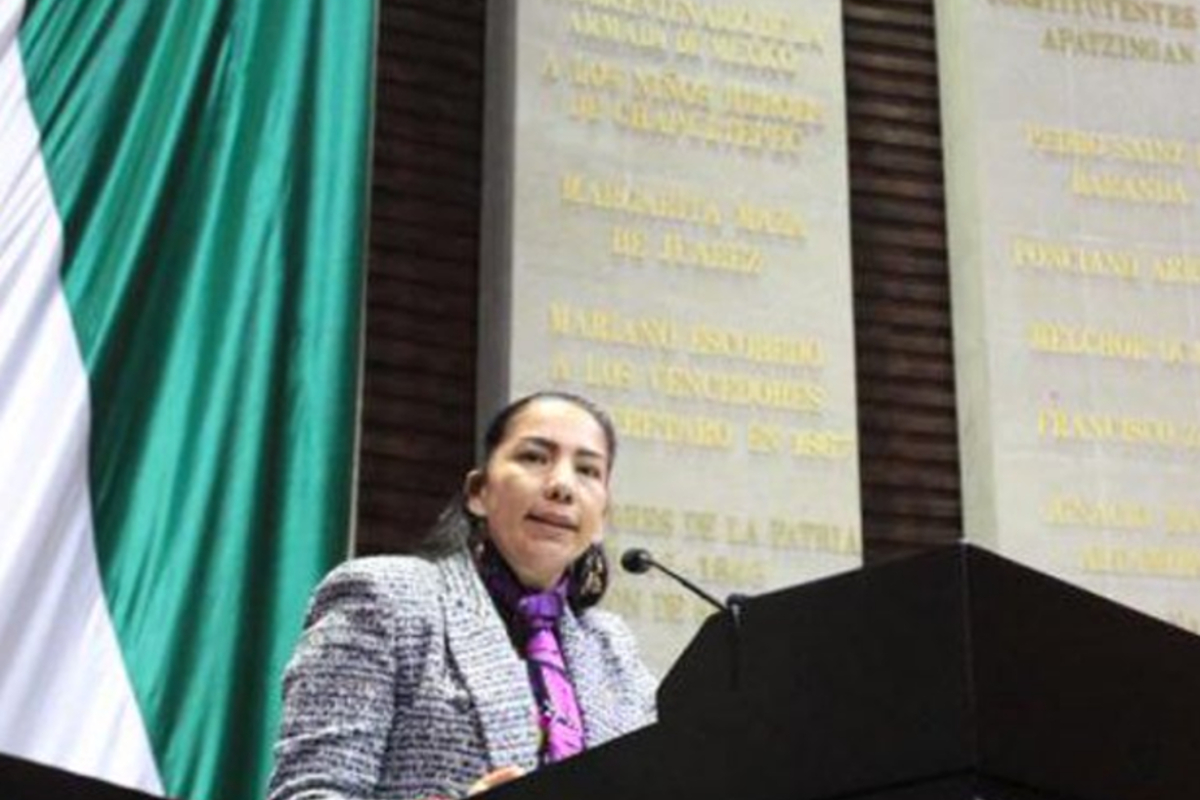 La perredista Olga Luz Espinosa mencionó que quitar el horario de verano es iniciativa del grupo parlamentario de AMLO