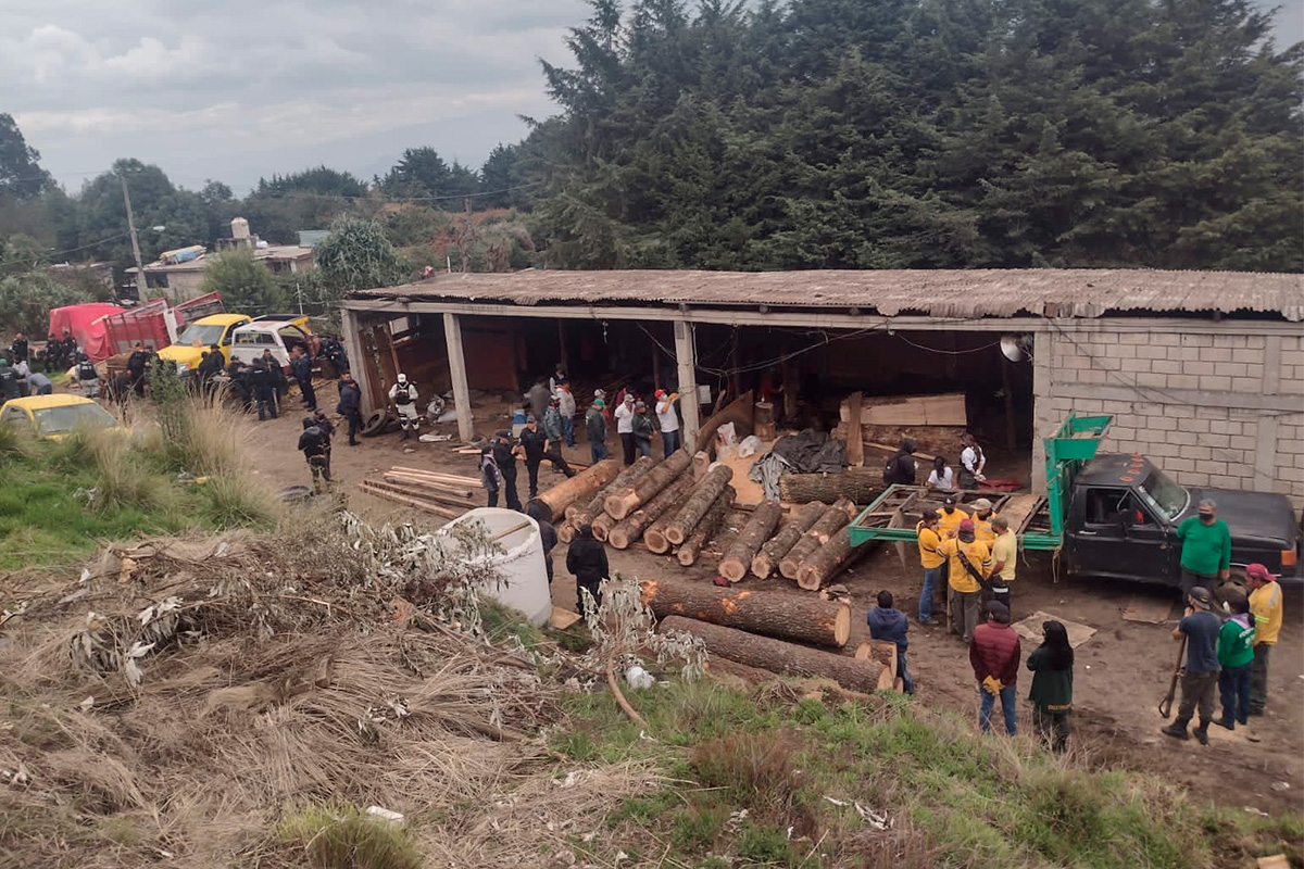 Dan golpe a talamontes; aseguran cuatro centros clandestinos de madera en el Ajusco