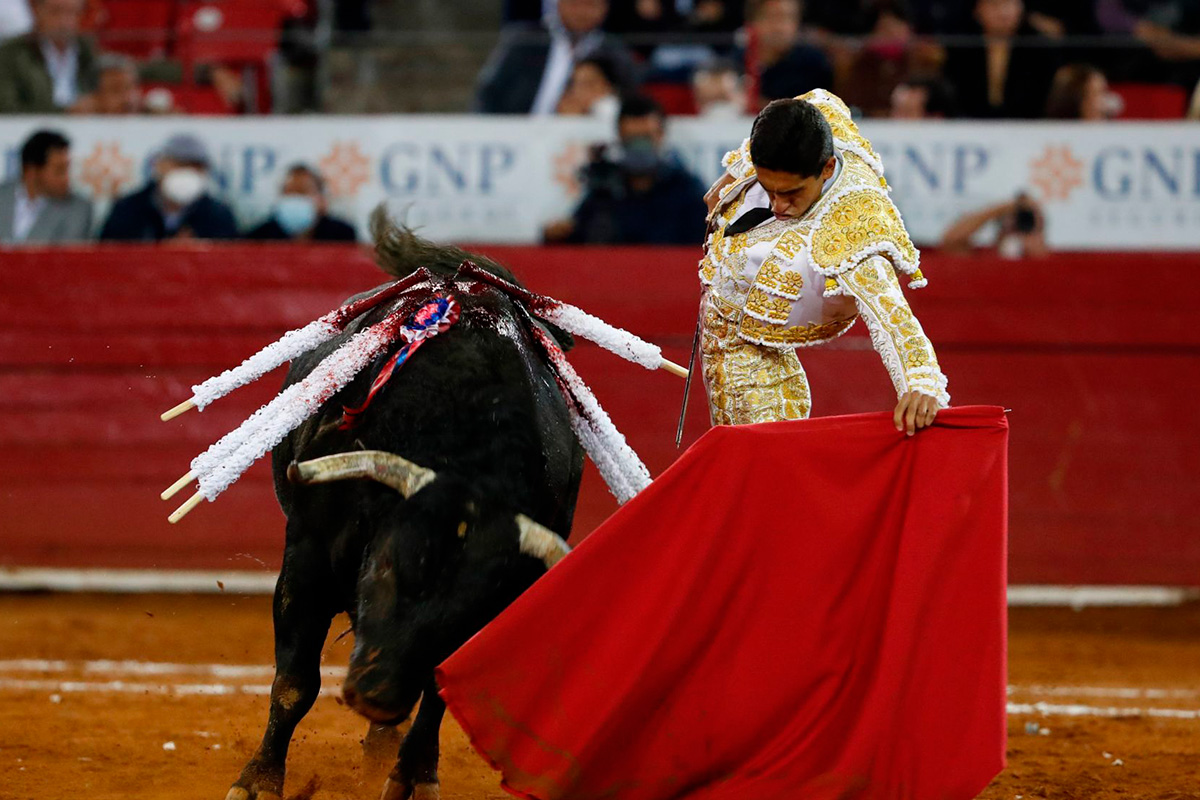 Impide Corte que tauromaquia sea patrimonio estatal