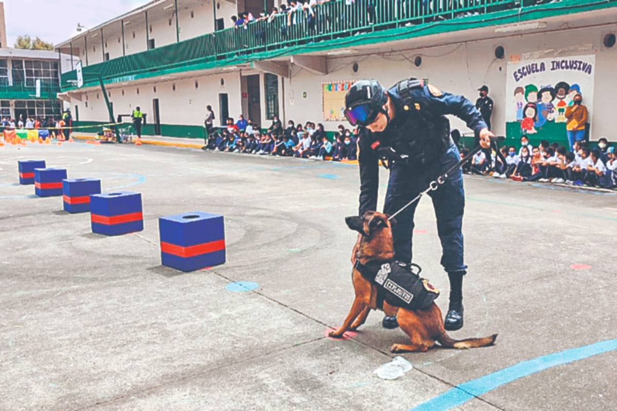 UNIDAD CANINA