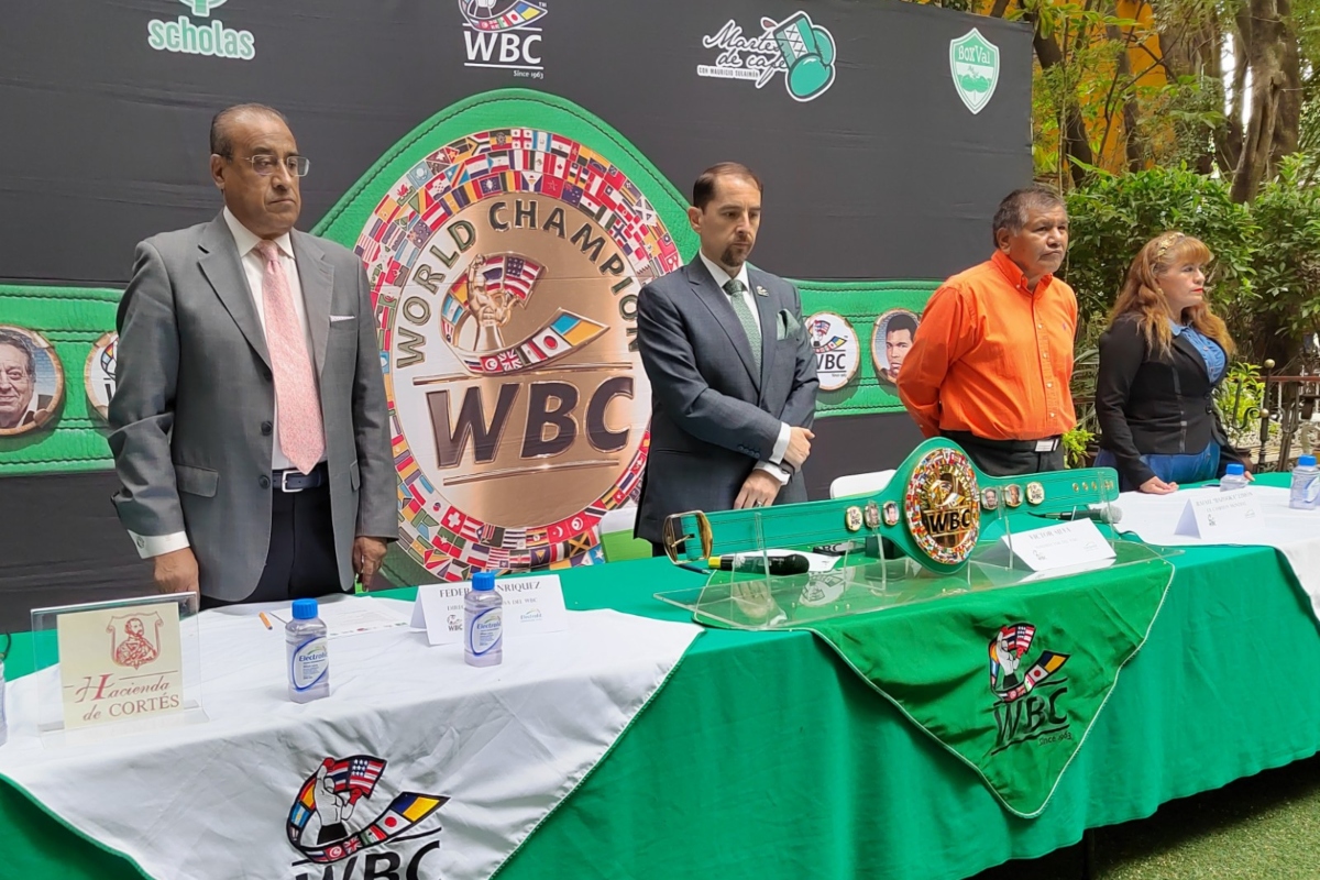 consejo mundial de boxeo