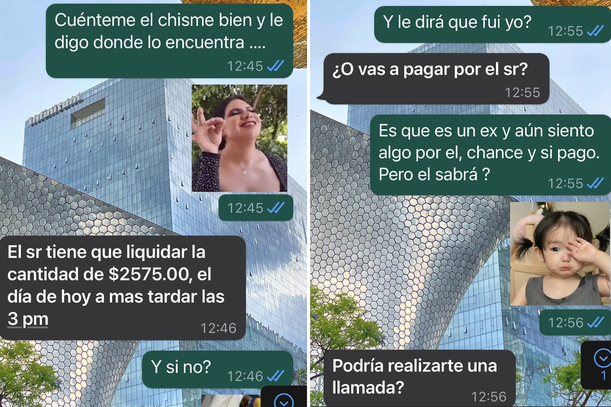 El joven mantuvo la conversación con el estafador, con sus mejores stickers.