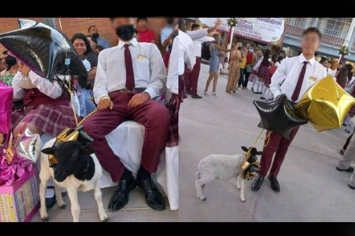 Un joven se gradúa de la secundaria y su padrinos le obsequian un borrego