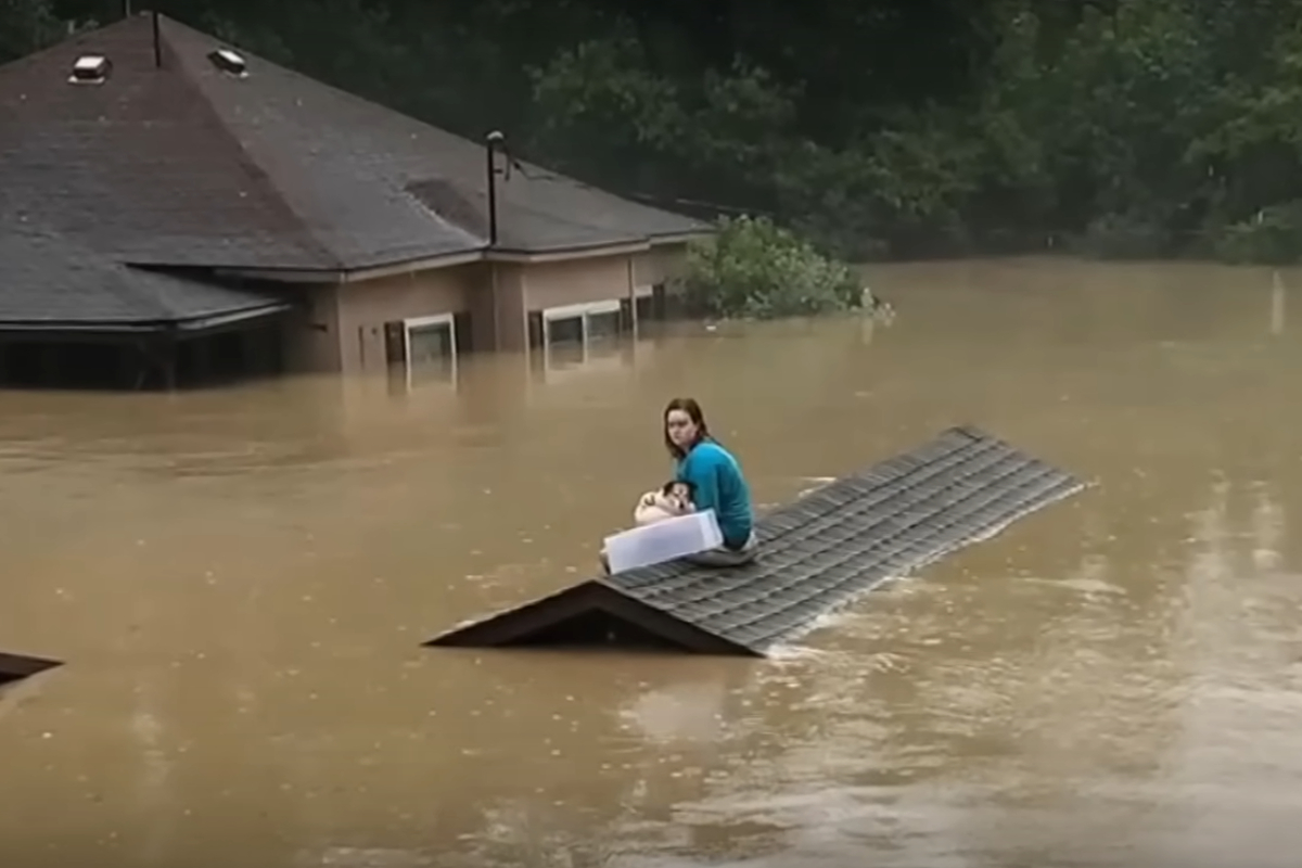 Joven rescata a su perrito en medio de inundación.