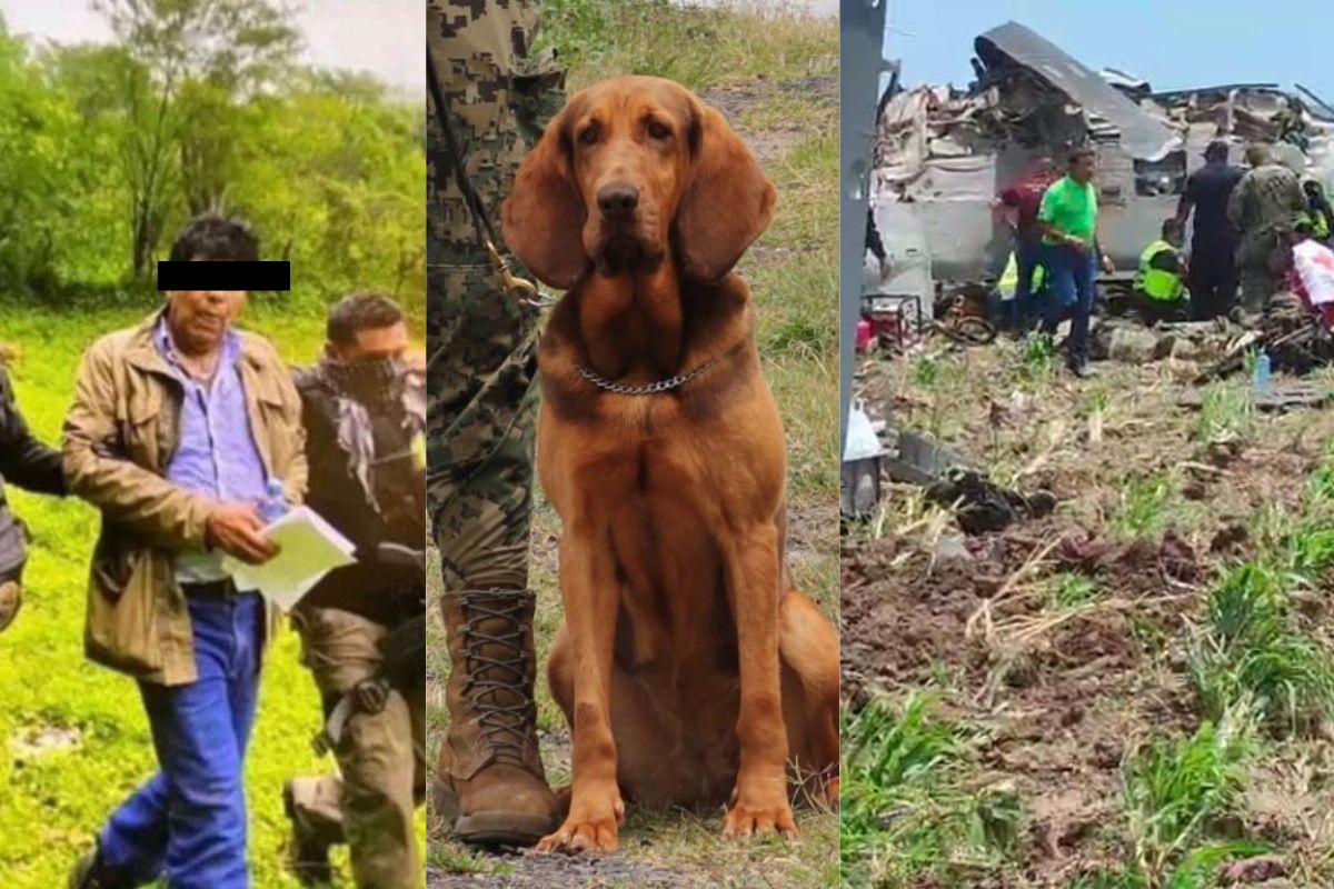 Foto:Redes sociales|Choix, Kiki Camarena, caída del helicóptero y 10 claves sobre la captura de Caro Quintero