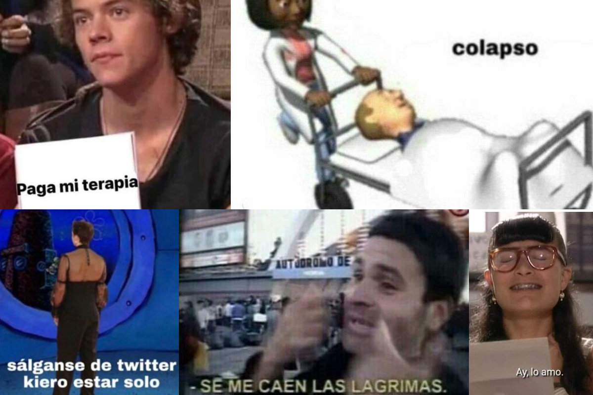 Harry Styles dejó buenos memes tras el lanzamiento del videoclip de la canción "Late Night Talking"