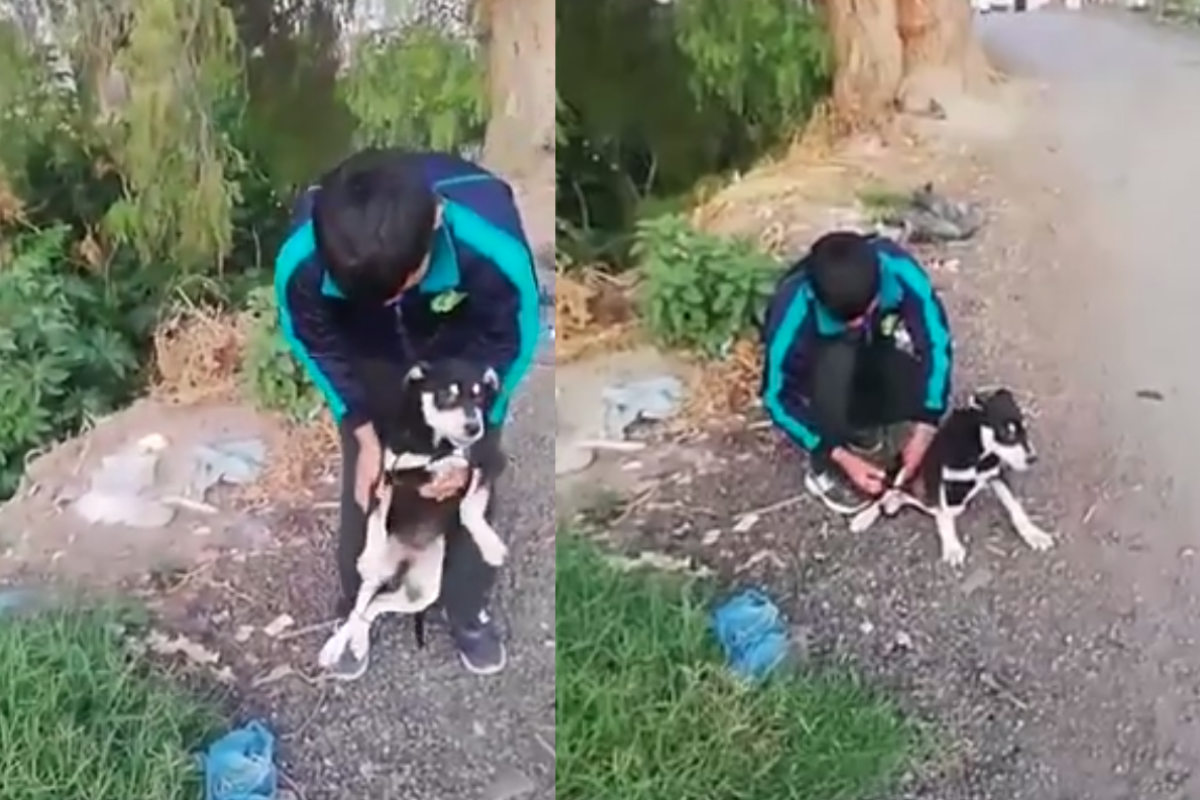 un hombre que arrojó al río Xalapango del municipio de Chiconcuac a un perrito pero fue descubierto por uno de sus vecinos el cual fue el héroe de la historia Te podría interesar: Prevén hoy se conozca avance de caso Debanhi