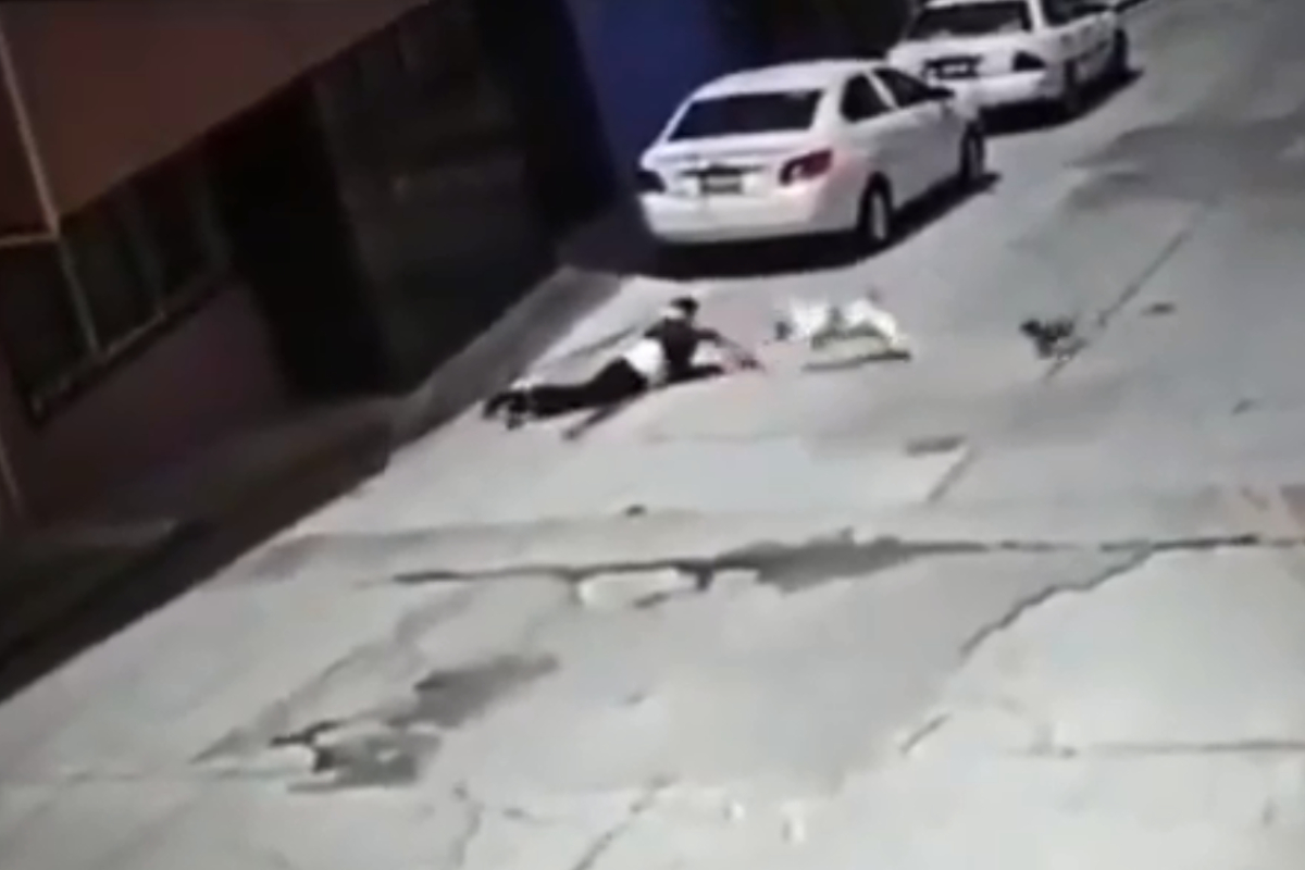 Captan a mujer atacada por un perro pitbull.