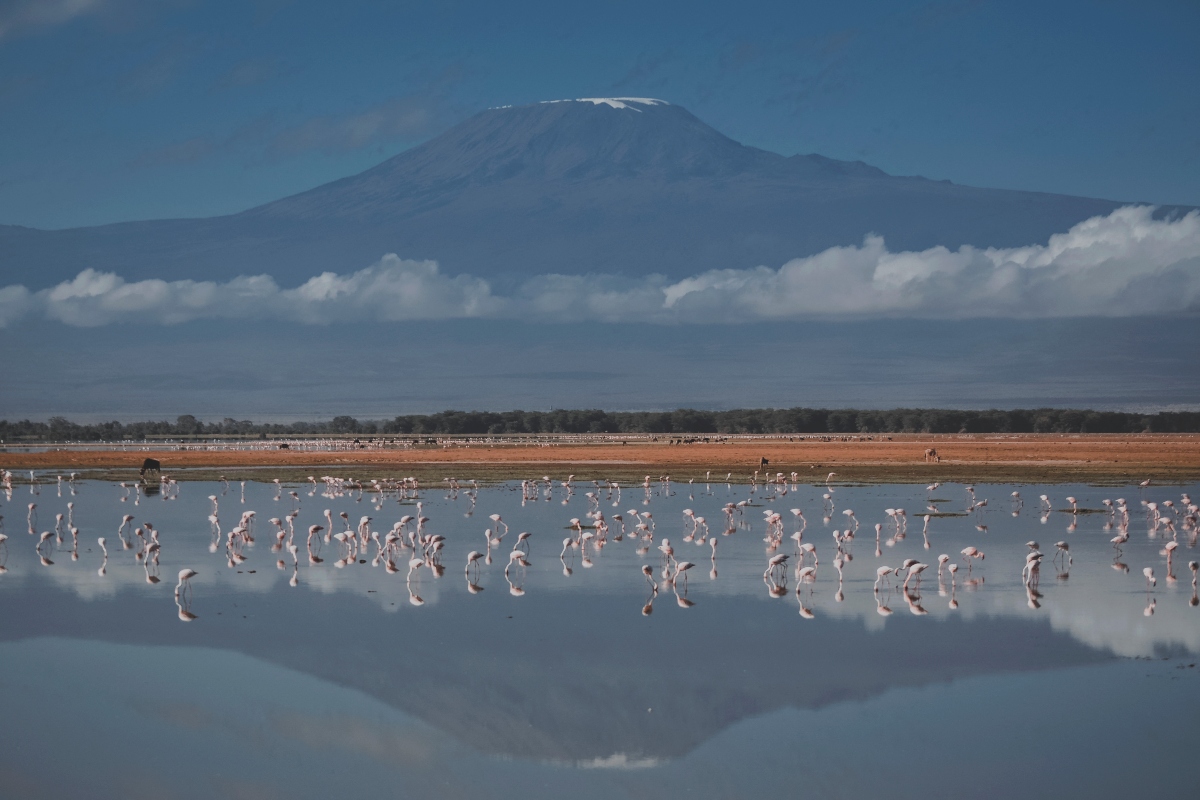 KILIMANJARO