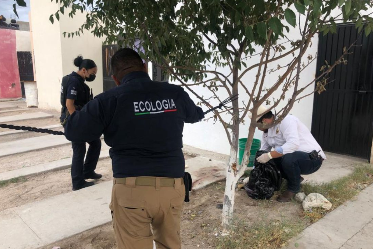 Sujeto es detenido en Ciudad Juárez después de ser descubierto a punto de comerse a un perrito y acompañarlo con tortillas.