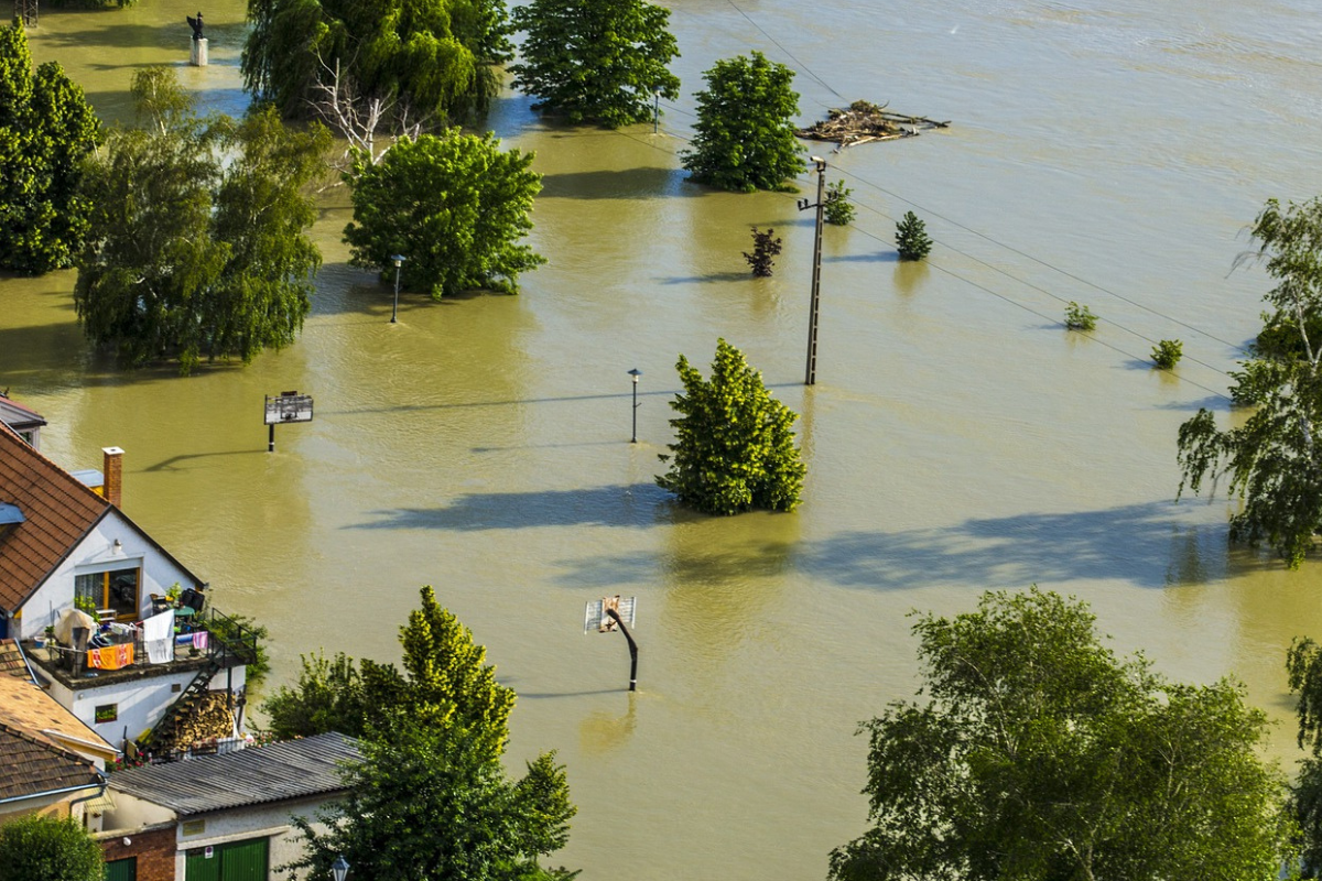 Foto: Pixabay | Corea del Sur quiere prohibir las viviendas en sótanos tras ahogamientos en inundaciones