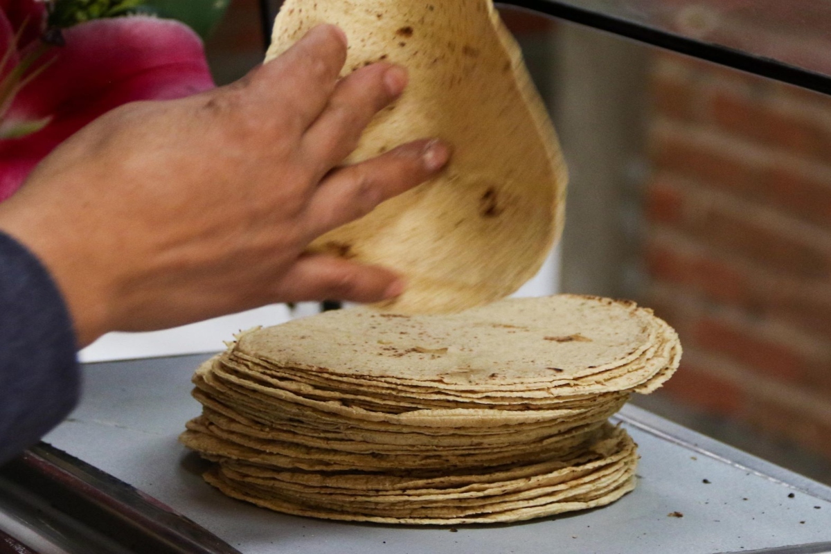 tortillas