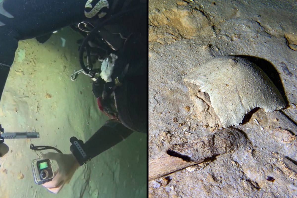 Foto:Captura de pantalla|Hallan esqueleto humano de hace más de 8 mil años en donde pasará el Tren Maya