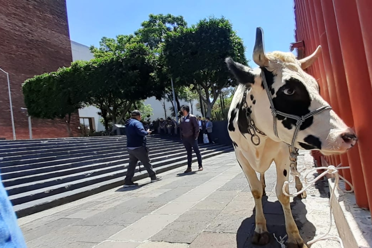 La diputada estuvo acompañada de representantes de las Cuencas Lecheras más importantes del país