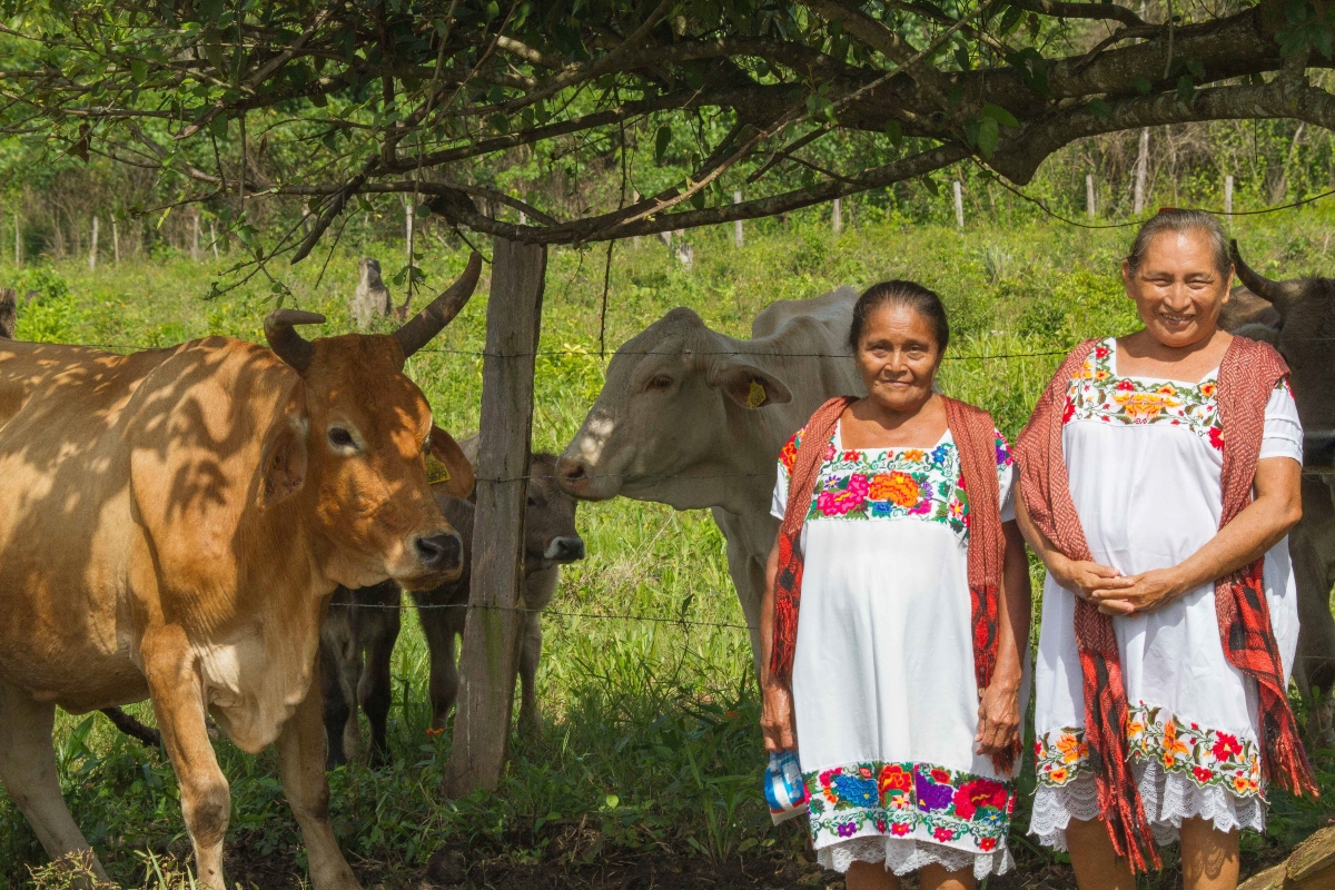 El primer Día Internacional de las Mujeres Rurales se celebró el 15 de octubre de 2008