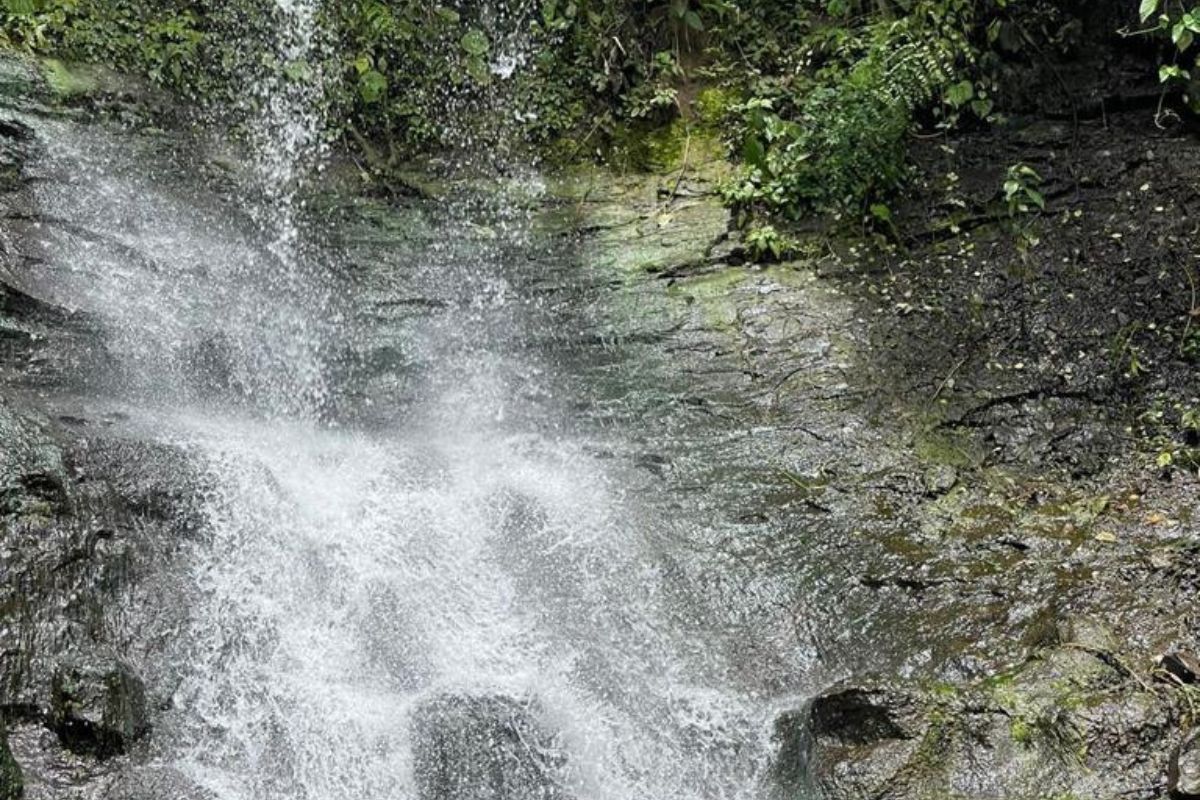 Muere joven al caer a cascada en Edomex mientras tomaba fotos