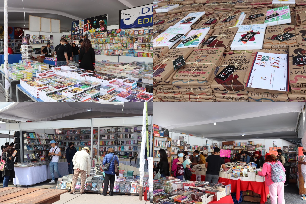 Además de libros, se exhibían cómics, figuras de colección, rompecabezas, instructivos, recetarios