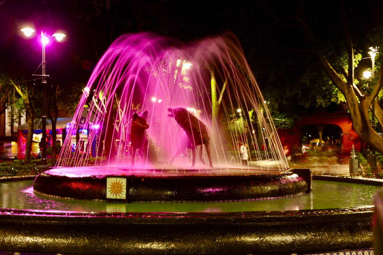 Coyoacán se pinta de rosa