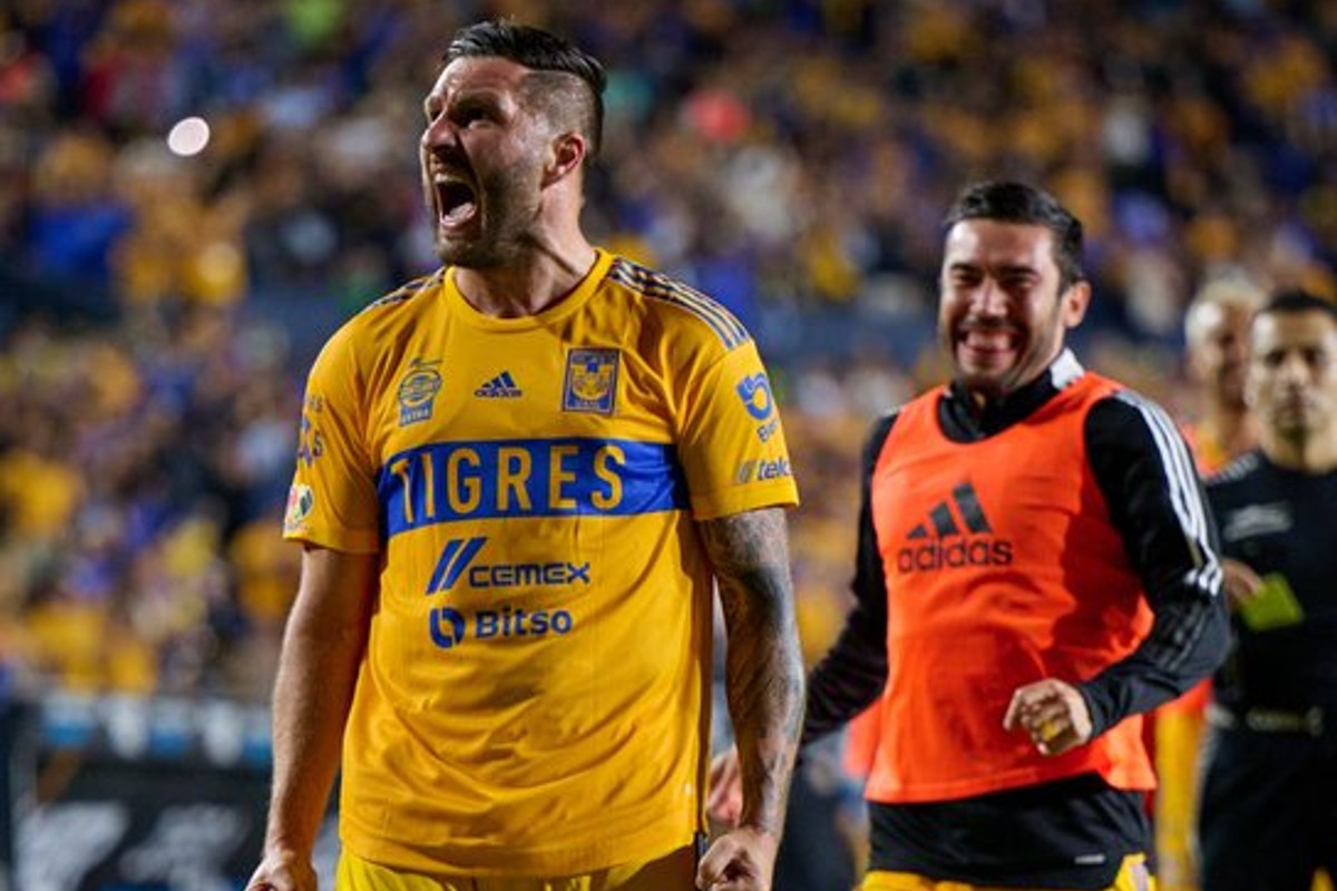 tigres