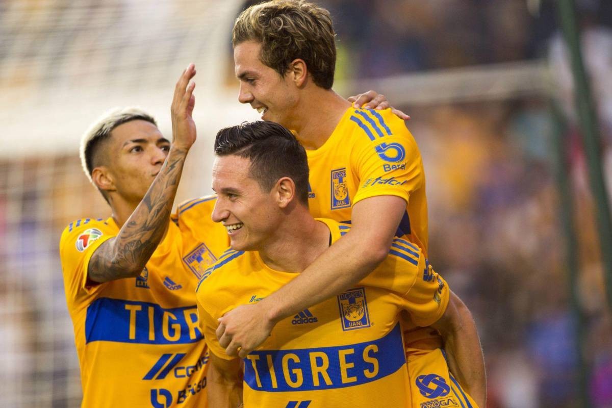 tigres