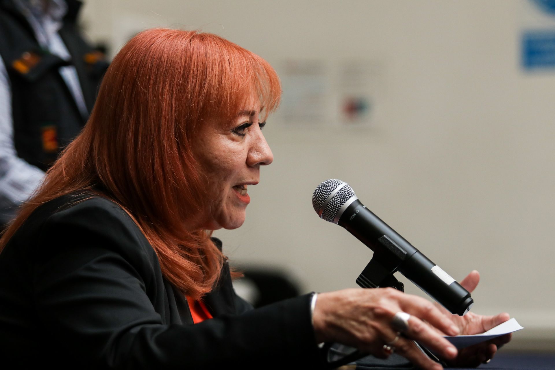 Foto: Cuartoscuro | Rosario Piedra no podrá acudir este mes al Senado, porque tiene agenda llena