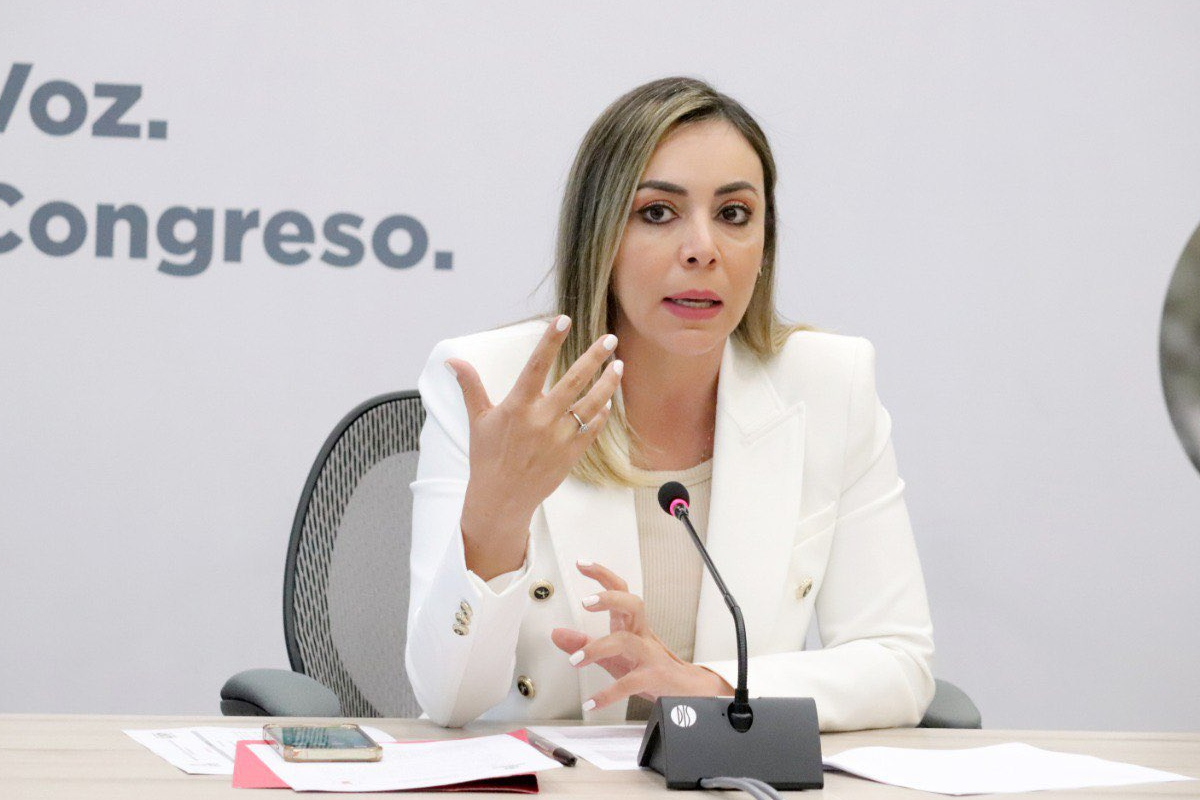 La diputada Yulma Rocha denunció que el PRI Guanajuato la sancionó por votar contra la extensión del tiempo de la Fuerzas Armadas en las calles.