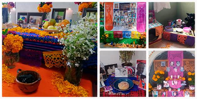 Collage Ofrendas Día de Muertos