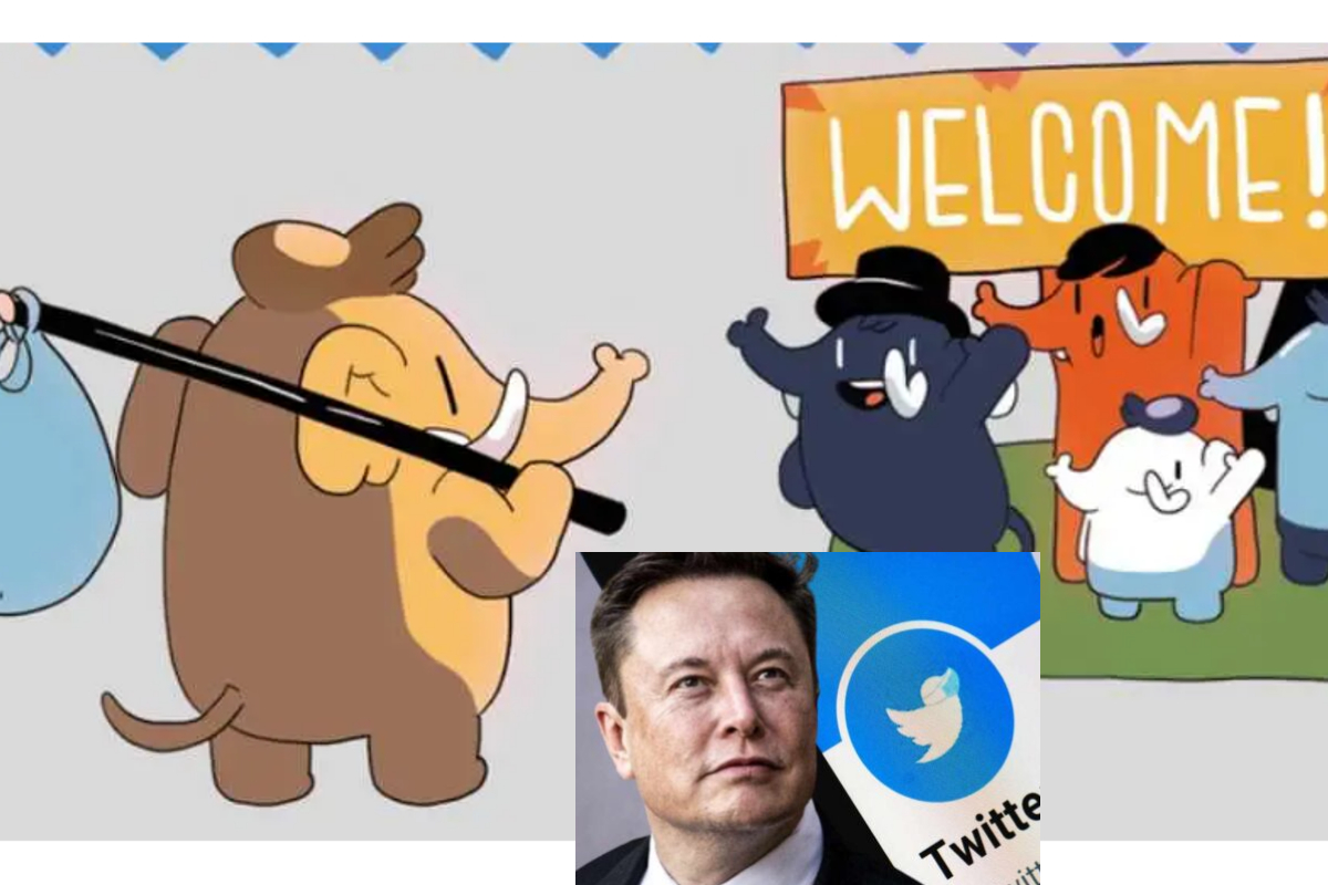 Internautas bven la posible migración a la red "Mastodon Social" luego de que Elon Musk confirmará el pago de 8 dólares al mes por la verificación de cuentas