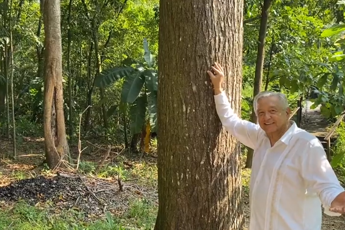 Foto: Twitter/ @lopezobrador_ | Agradece AMLO afecto en su cumpleaños