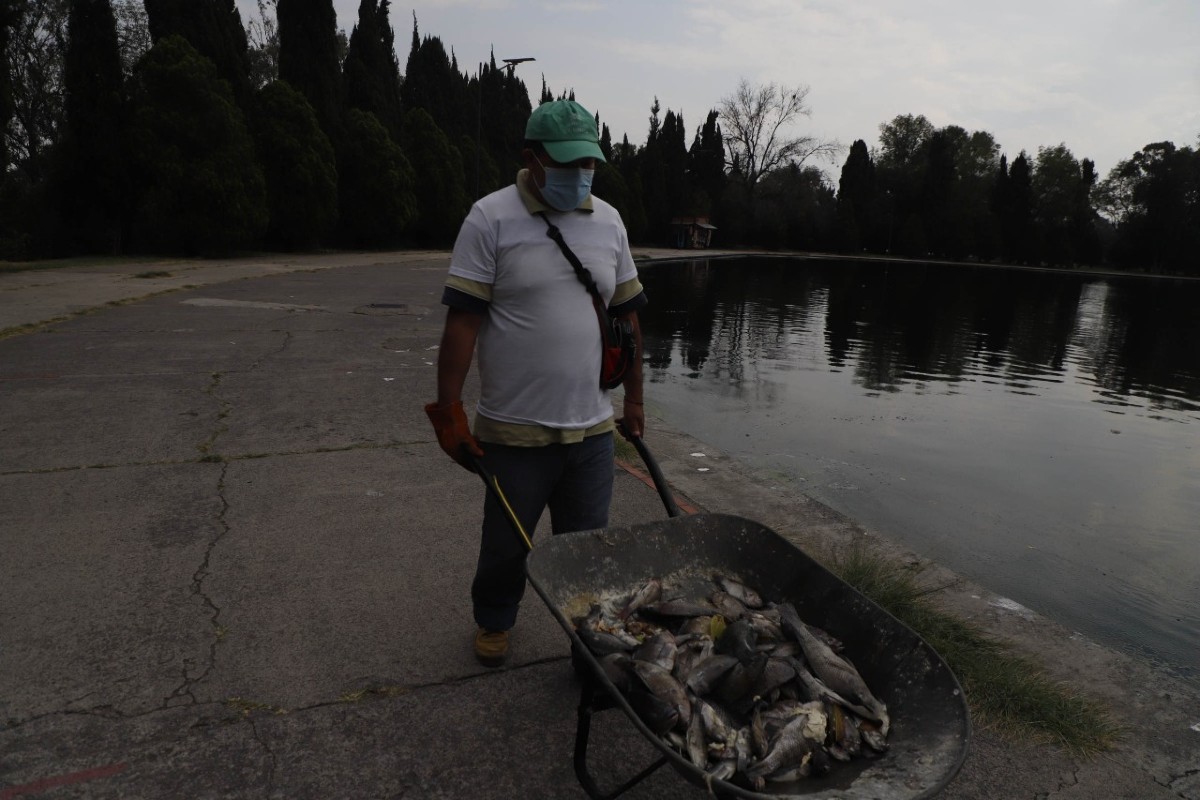 lago chapultepec